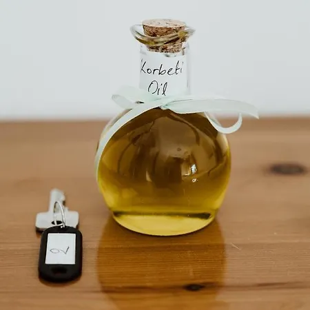 Filippos Maison d'hôtes Áfissos